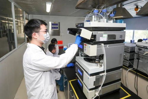 深圳要闻聚焦 技术交流助力城市创新发展